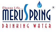 Meru Spring logo